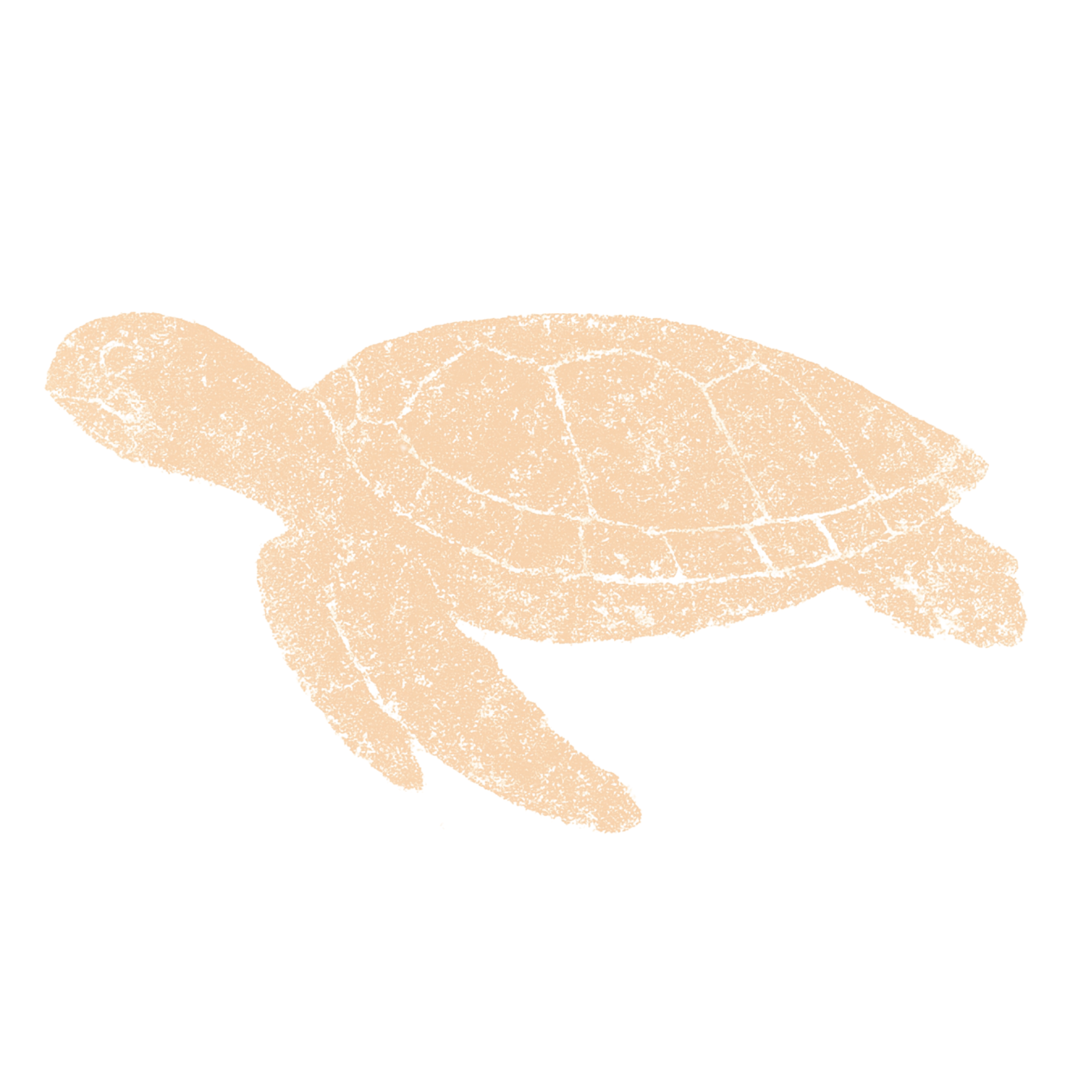 Laumei - Sea Turtle