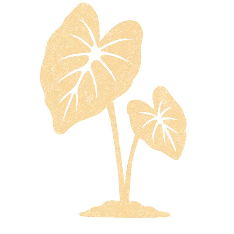 Taro leaf illustration